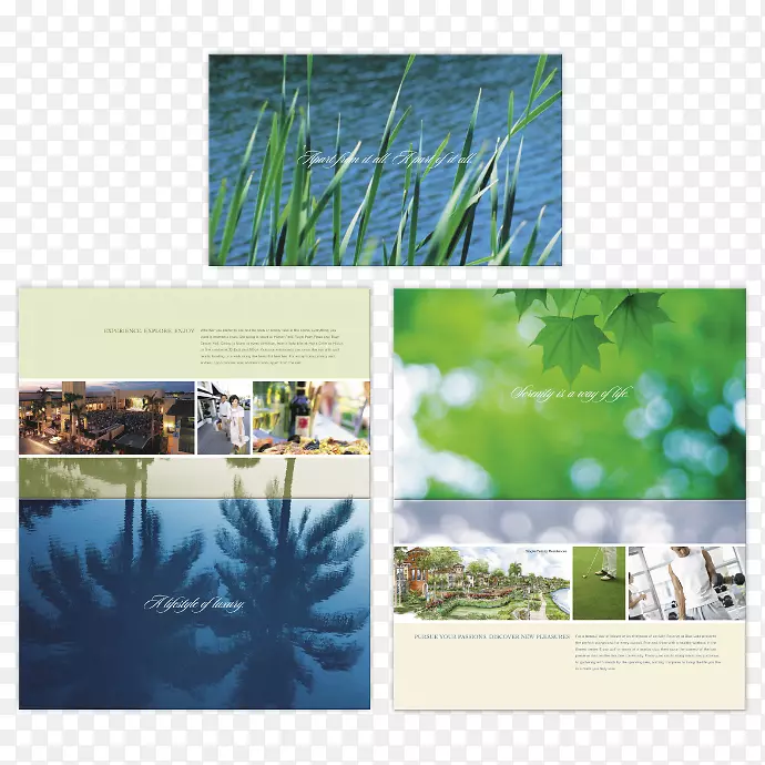 自然桌面壁纸拼贴画框生态系统-创意房地产海报图片材料