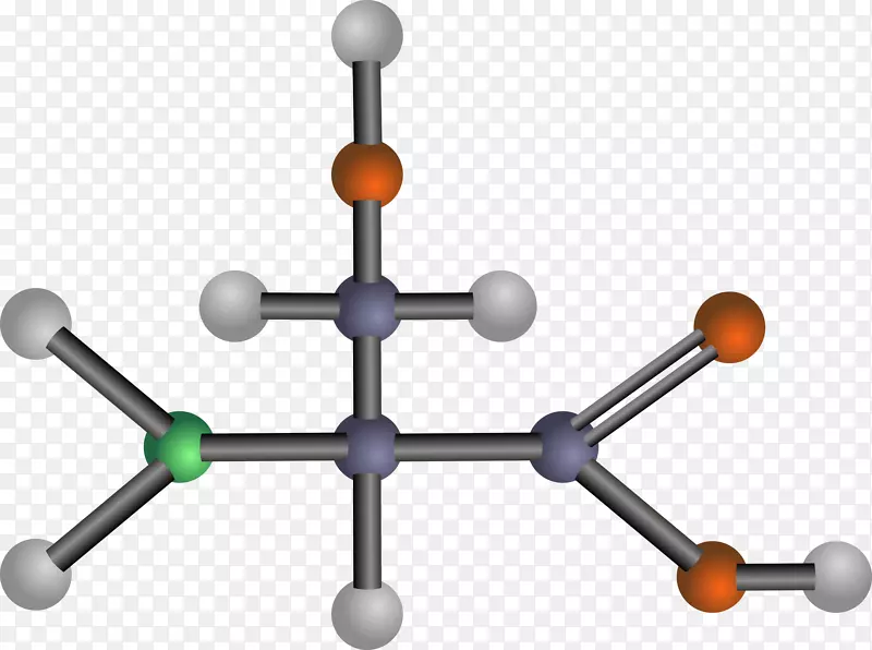 必需氨基酸valine片段art-dna分子