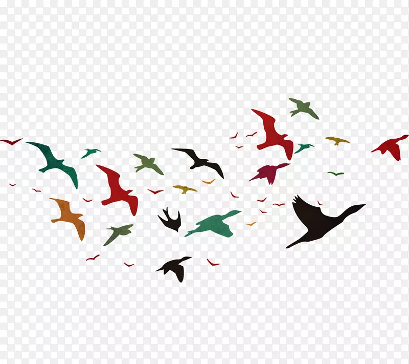 鸟类飞行光景-鸟