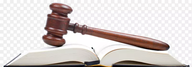 律师事务所法律援助法院-刑事司法系统