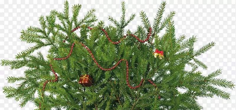 新年圣诞树装饰剪贴画