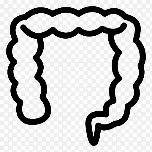 大肠计算机图标Minskaya oblastnaya klinicheskaya bol‘nitsa小肠胃肠道
