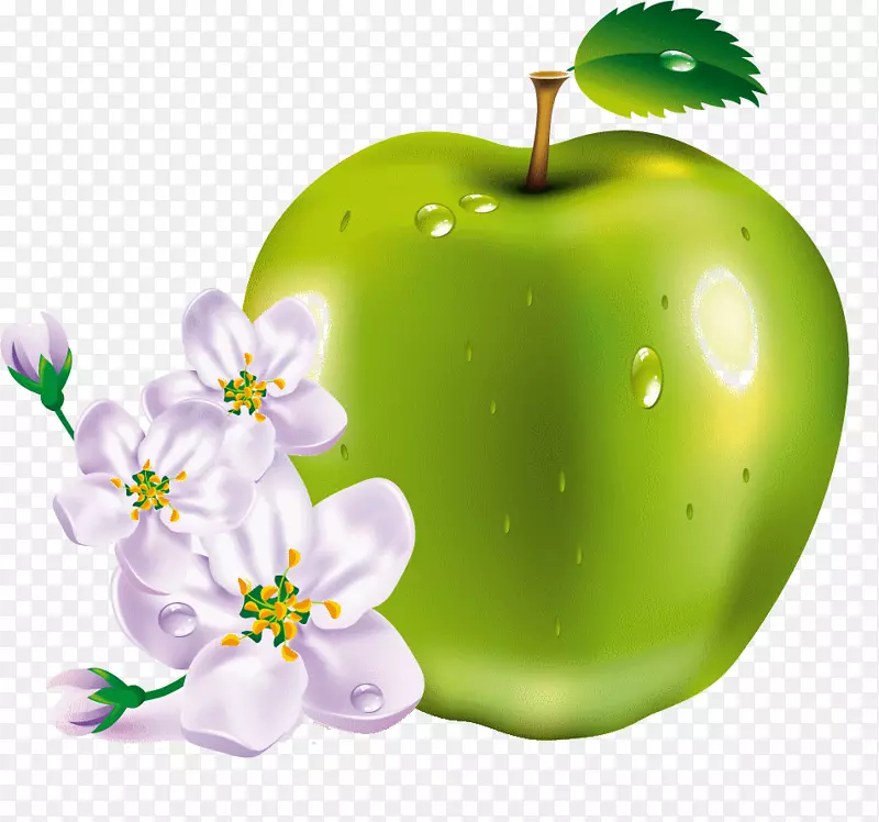 MacBookpro苹果剪贴画-苹果水果