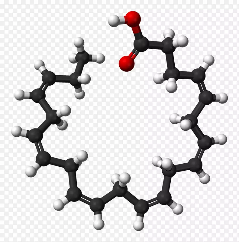 膳食补充剂二十碳五烯酸二十二碳六烯酸ω-3脂肪酸鱼油鱼丸