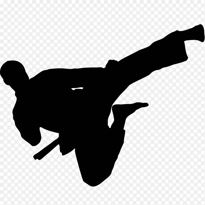 空手道世界跆拳道锦标赛踢截拳道-儿童跆拳道