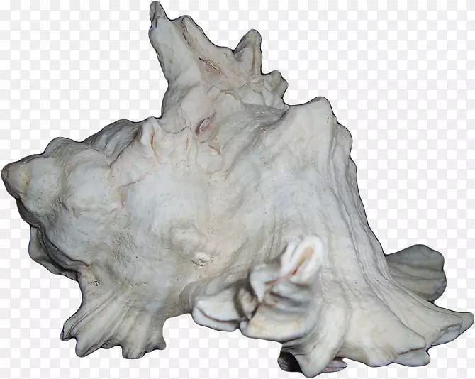 雕塑剪贴簿宣传雕像海螺