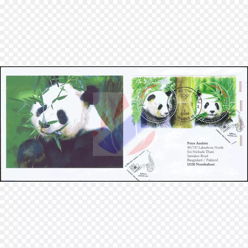大熊猫宣传竹材吃-文凭