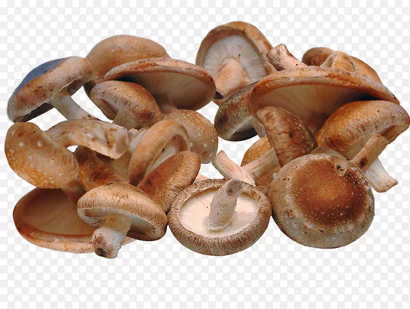 香菇肉汤素食料理蘑菇
