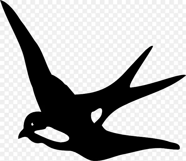 燕子夹艺术-鸟