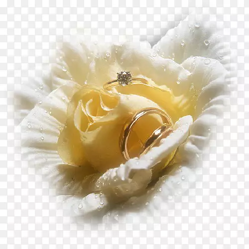 婚礼邀请函婚纱剪贴画-婚礼