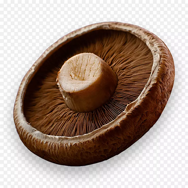 普通蘑菇b维生素生物素膳食补充剂香菇
