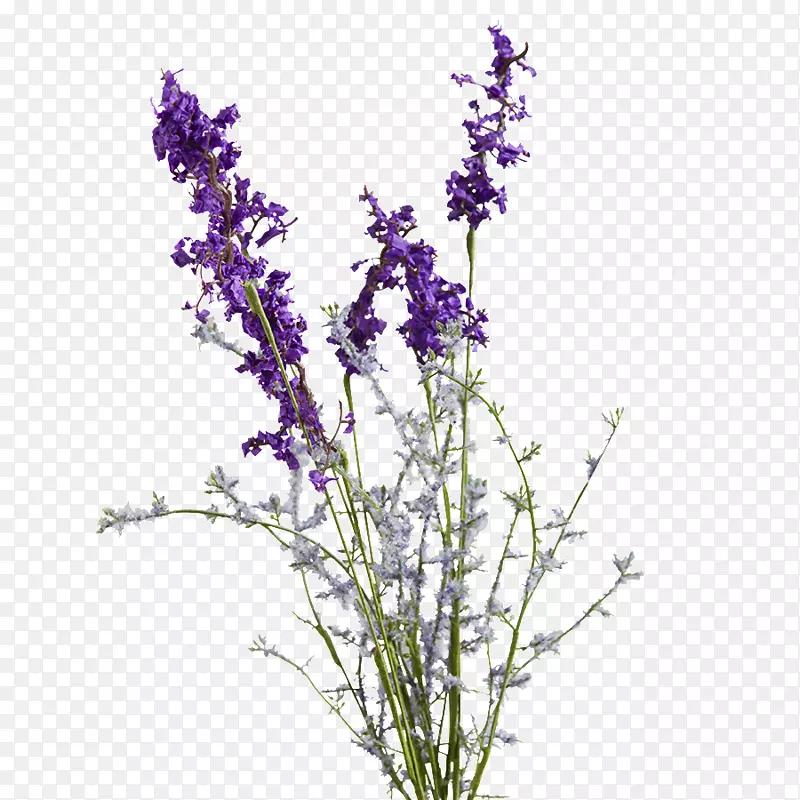 英国薰衣草紫色人造花紫罗兰-紫色