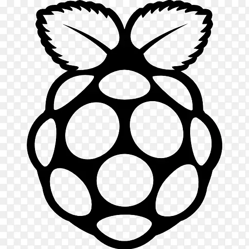 raspberry pi，MagPi计算机图标-raspberry徽标