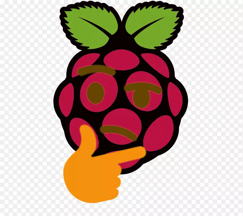 raspberry pi基金会Arduino Raspbian相机模块-覆盆子布丁