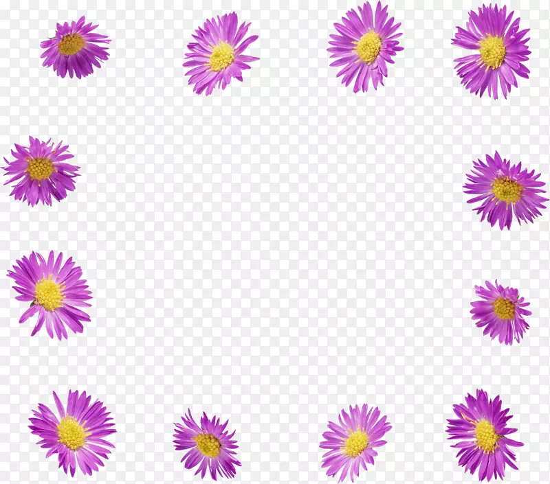 花卉摄影-花