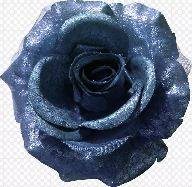 蓝色玫瑰花园玫瑰花剪贴画-花