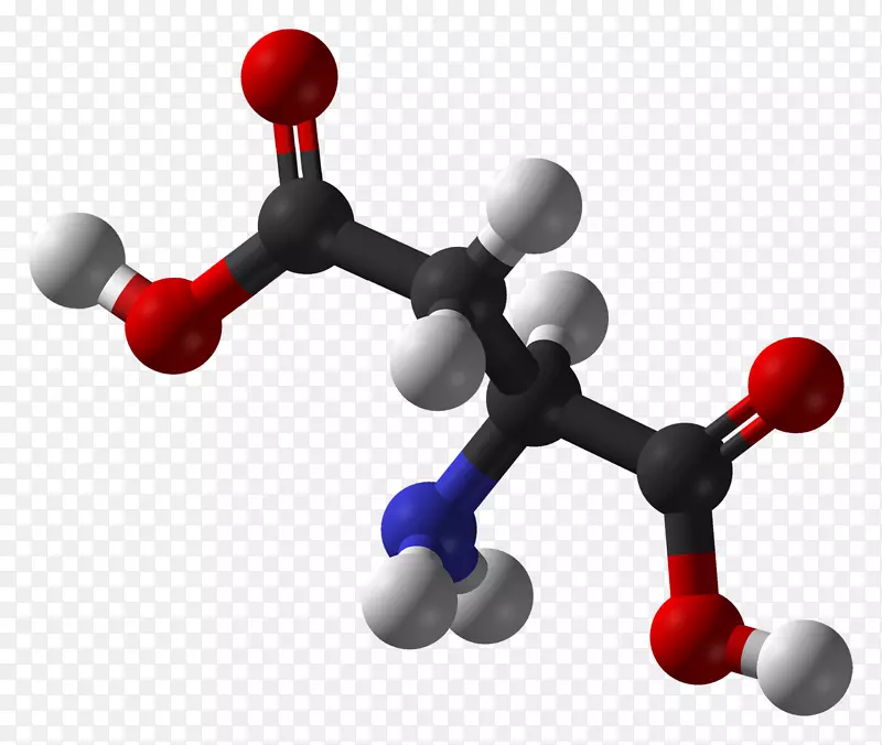氨基酸分子化学丙氨酸