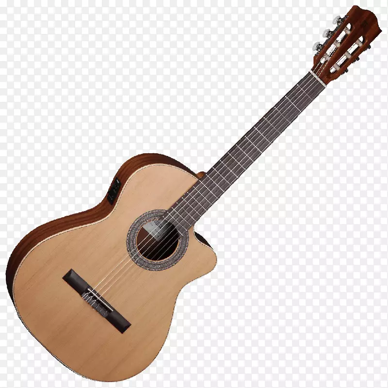 十二弦吉他c.f。马丁公司电吉他钢丝绳吉他