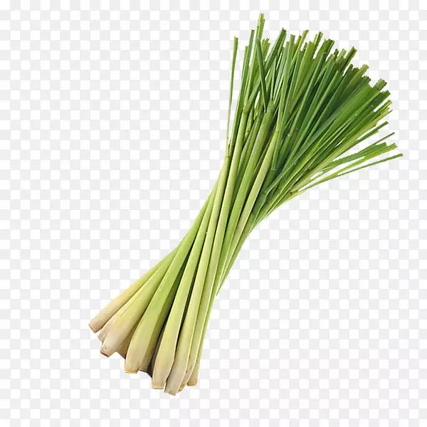 香茅泡桐汽化饮料香茅油(Aloysia Citrodora Piperwaw)