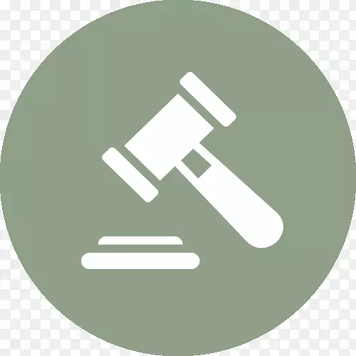民事诉讼法院规约程序法-证人