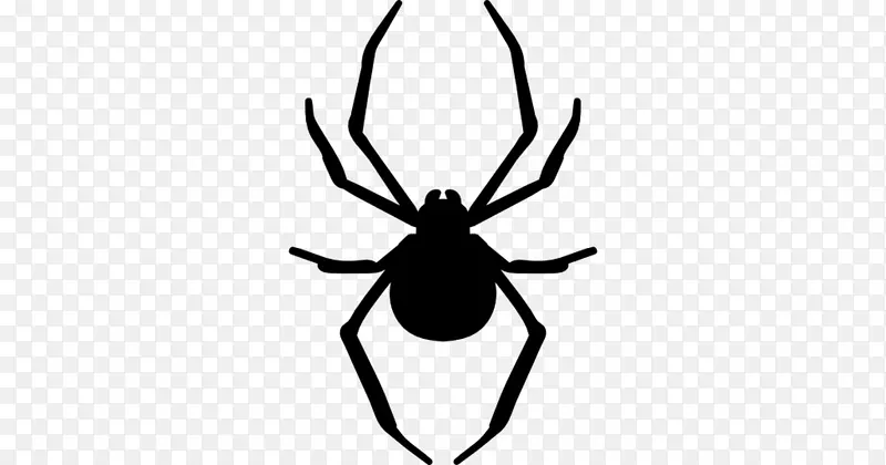 蜘蛛网模板剪影-蜘蛛