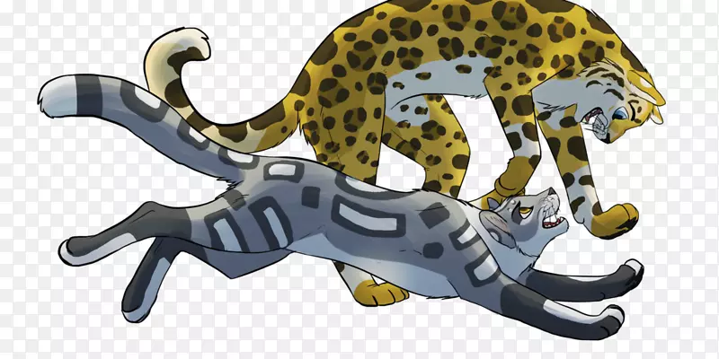 豹大猫陆生动物-绝不会被石头绊倒2次