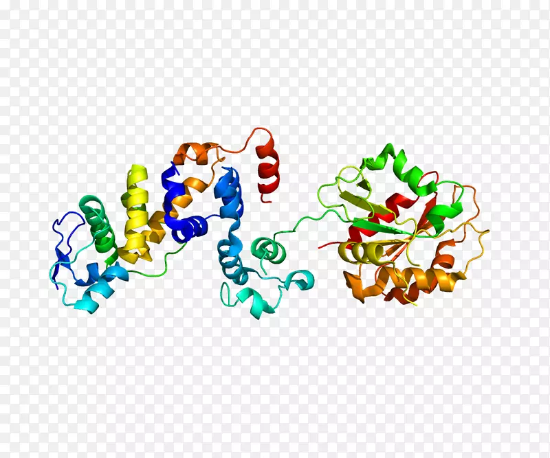 F-box蛋白fbx 15基因蛋白家族