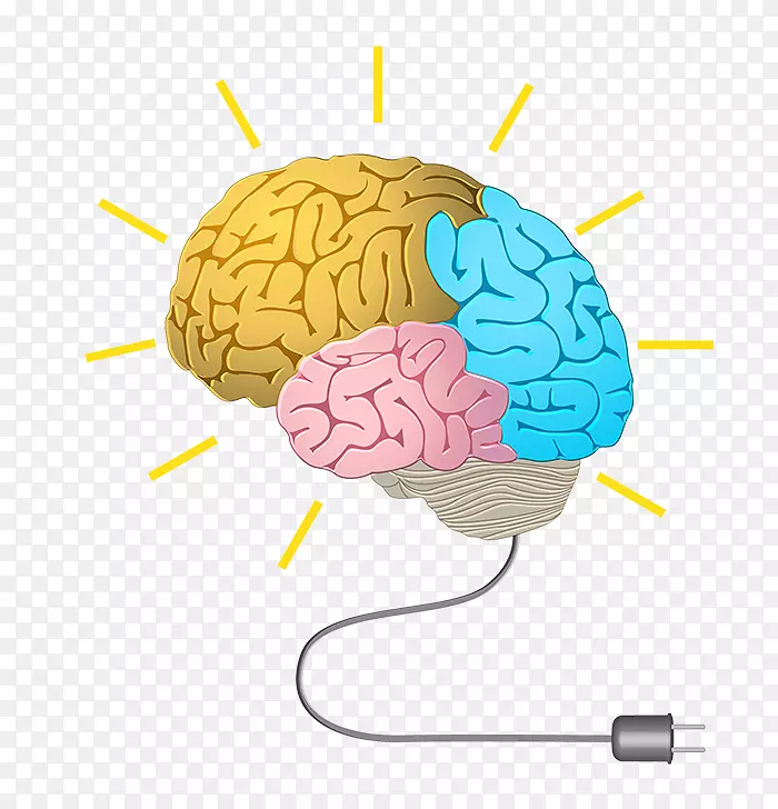 人脑神经反馈认知训练记忆