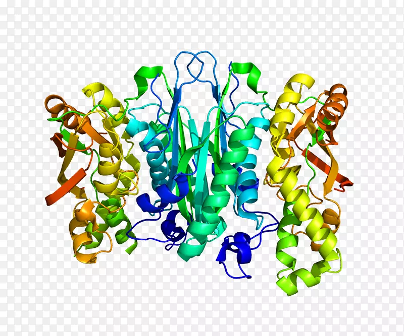 硒磷合成酶1硒化物，水二激酶硒蛋白硒半胱氨酸基因