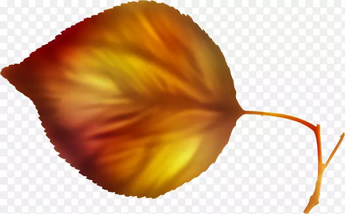 纸画花瓣画