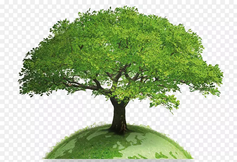 地球世界树木地球全球变暖