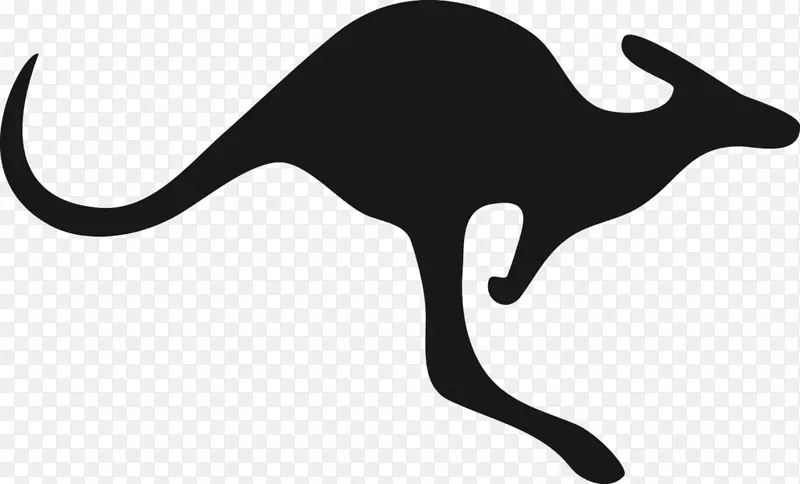 澳大利亚袋鼠须的轮廓-轮廓