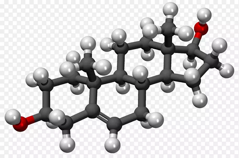 胆固醇脱氢表雄酮雌酮类固醇高密度脂蛋白