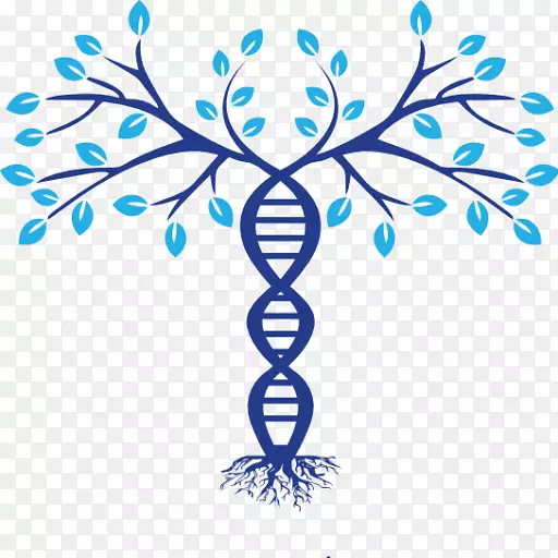 家谱dna谱系进化树符号