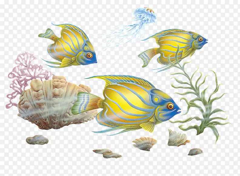 五彩缤纷的鱼类剪贴画-鱼