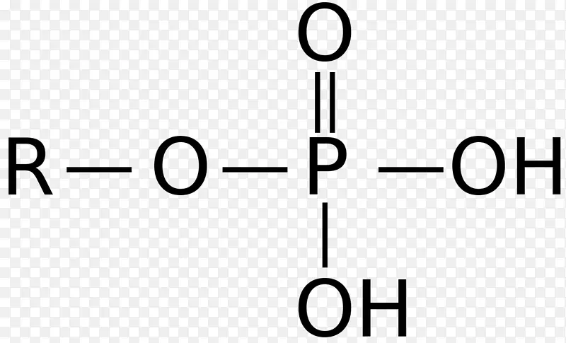 有机磷官能团磷酸偏磷酸盐