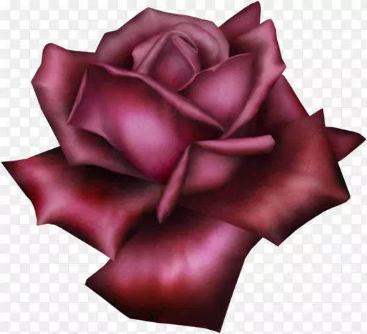 玫瑰剪贴画-玫瑰