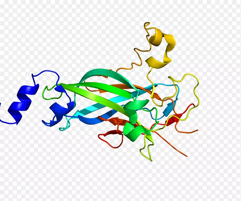 基本螺旋-环-螺旋蛋白结构基序pfam