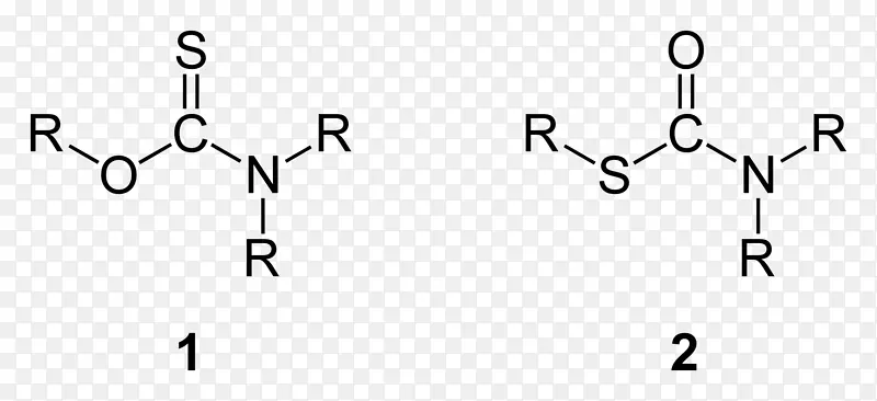 肽键硫代氨基甲酸氨基酸化学键