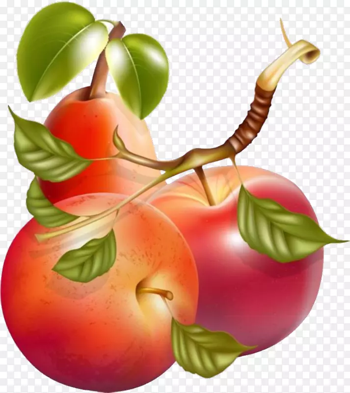果汁奶昔苹果剪贴画-水果商业宣传图例