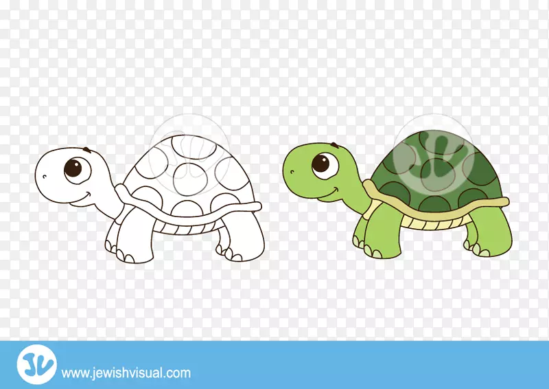 乌龟剪贴画-折扣
