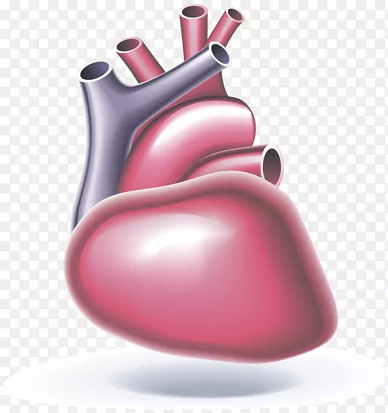 心脏骤停自动体外除颤器心脏心肺复苏心脏病学.心脏