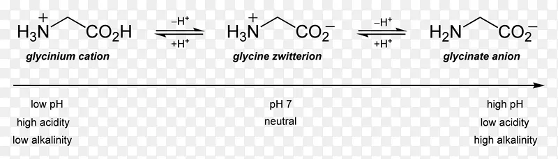 等电点甘氨酸氨基酸谷氨酸化学