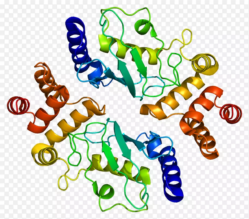 亨廷丁相互作用蛋白1 HIP 2亨廷丁相互作用蛋白1泛素结合酶