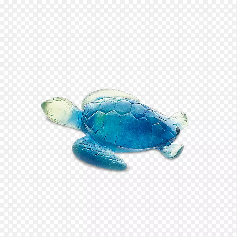 甲鱼海龟绿海龟大头龟