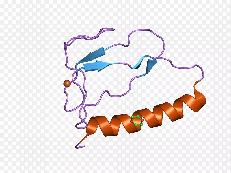 胰岛素样生长因子结合蛋白igfbp 1胰岛素样生长因子1 IGFBP 3