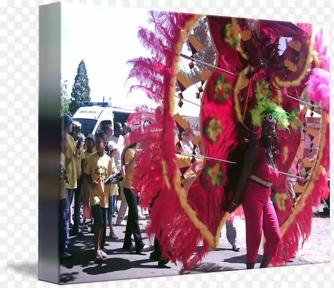 特立尼达和多巴哥狂欢节-双11狂欢节