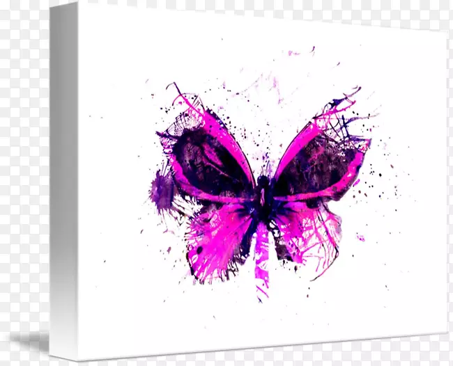 蝴蝶艺术版画平面设计印刷.光泽蝴蝶