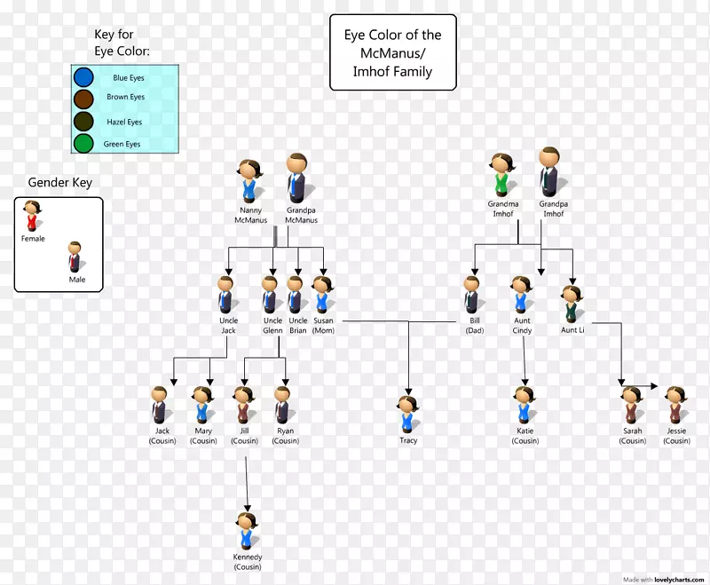谱系图、眼睛颜色遗传学、家谱优势-眼睛