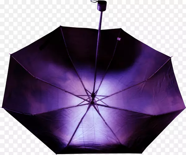 伞紫伞